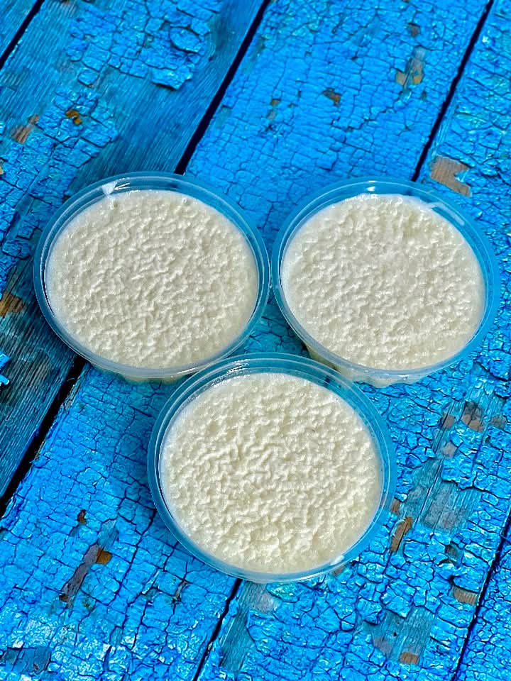 رز بلبن ساده