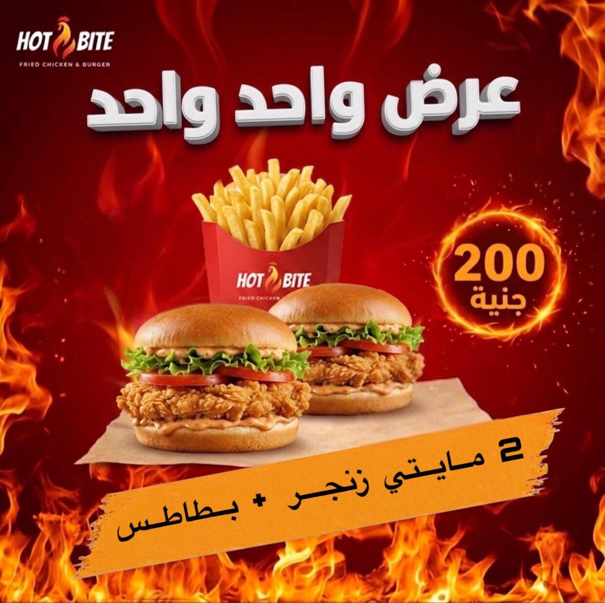 عرض واحد واحد