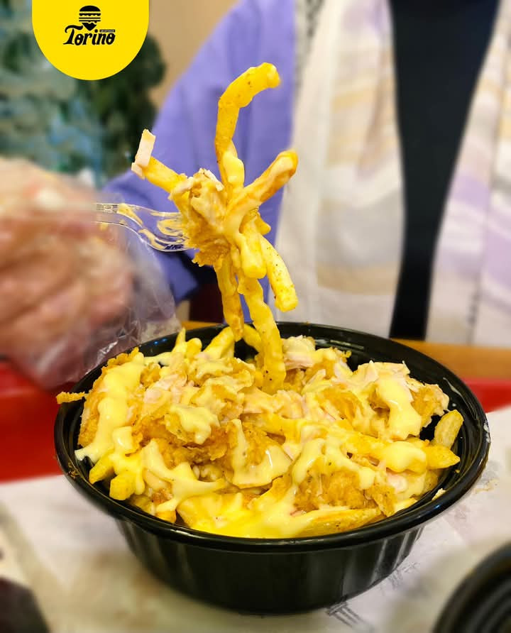 تورينو فرايز