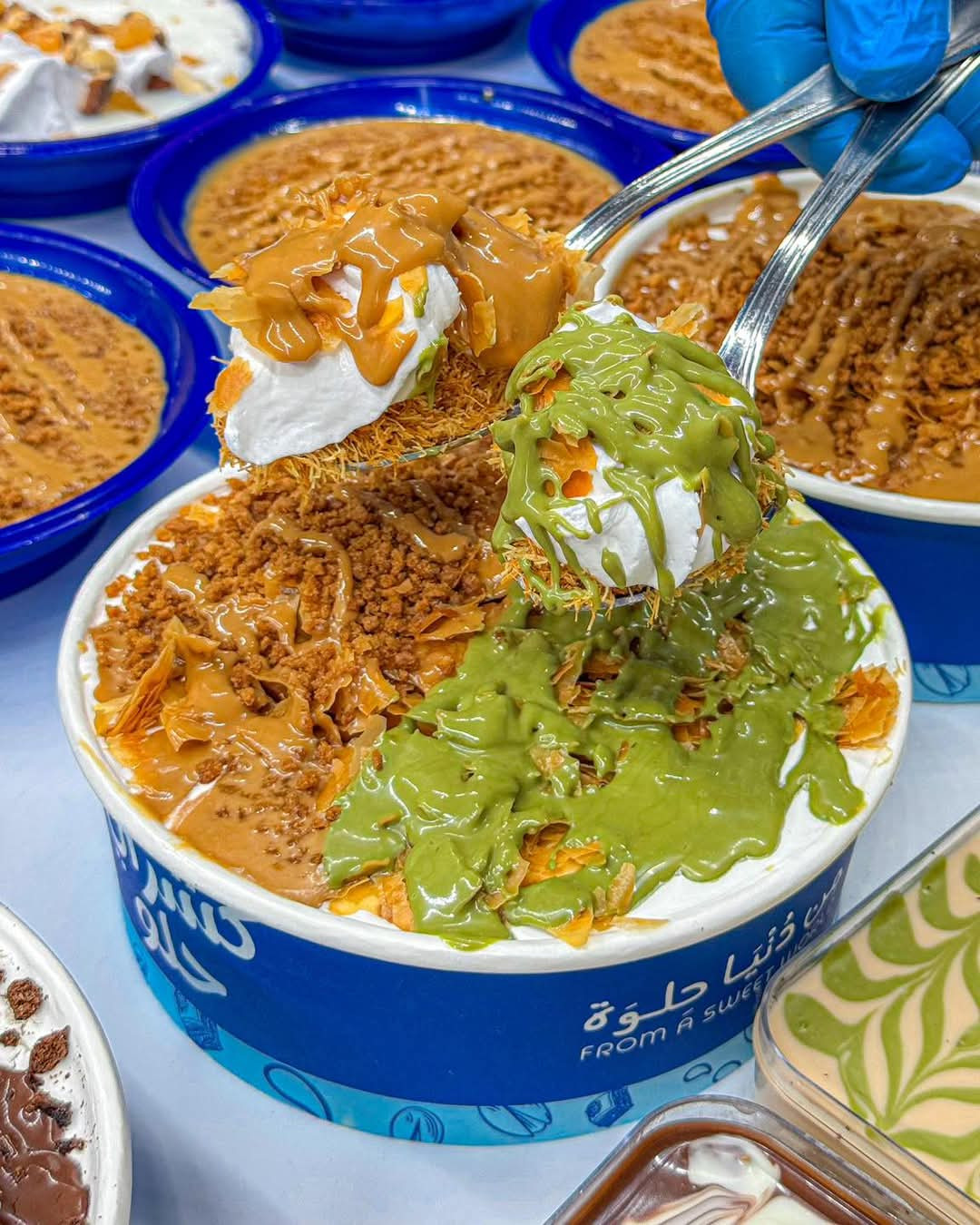 كشري بستاشيو ولوتس